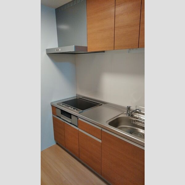 リリーグランジュ大宮Ⅱ IHキッチン