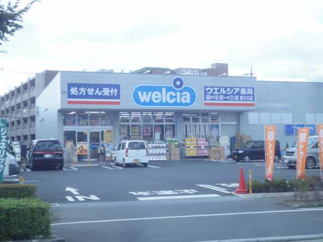 Ｅａｓｔ　ＷｉｓｔｅｒｉａⅠ（イースト　ウィステリアワン） ウエルシア東川口店まで781ｍ