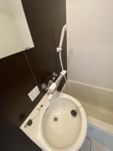 ベイルーム吉野町301号室 洗面