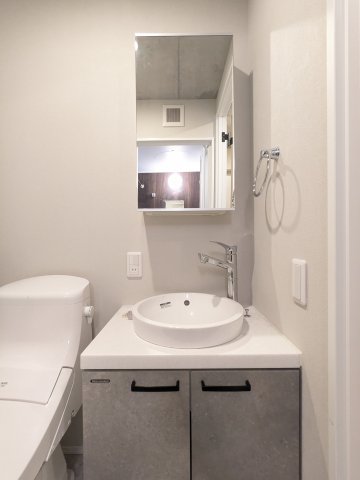フラッフィー落合南長崎0401号室 洗面