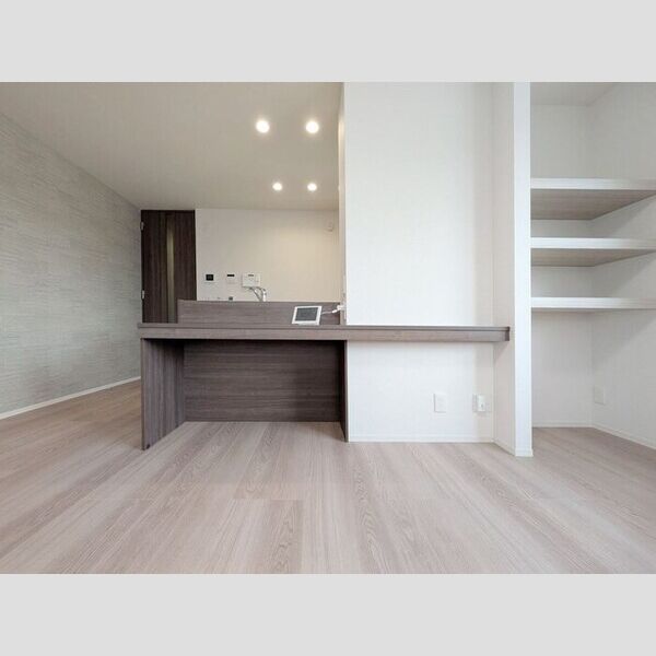 ガーベラ・グレイス201号室 カウンター