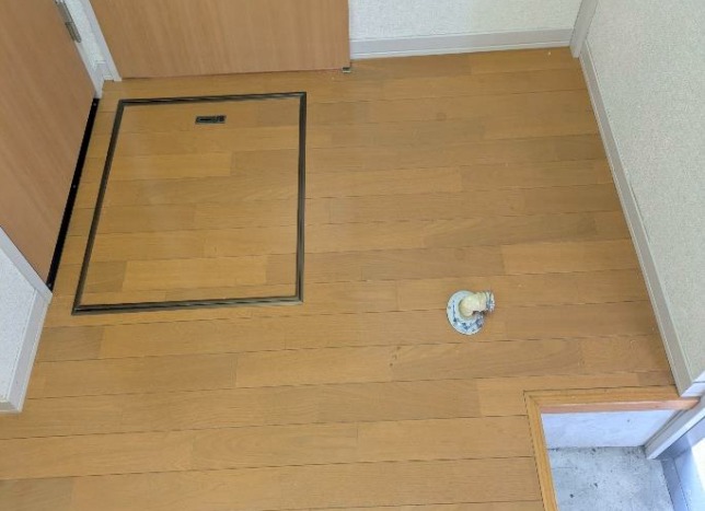 ルピナスコート2階 ※別号室写真使用※