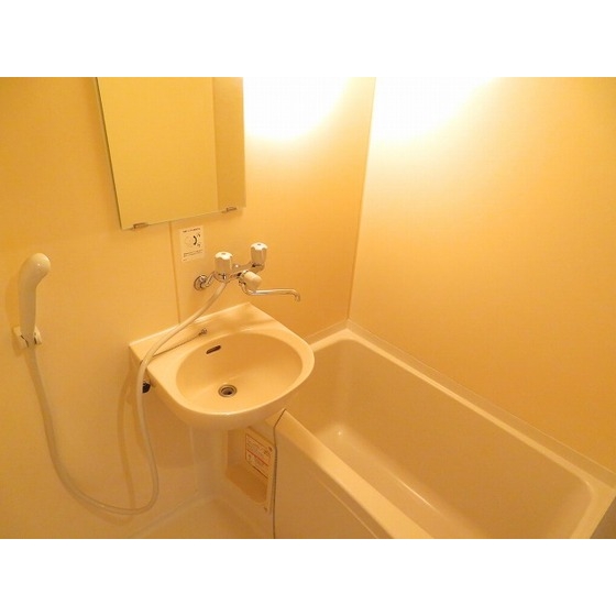 ラ・フロレスタ壱番館0202号室 バスルーム