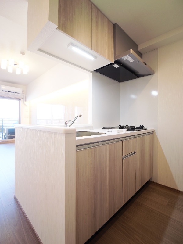 プレジオ川口ASIAN7階 キッチン