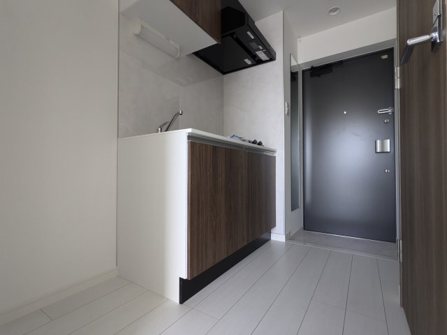 ソラステージ金町0205号室 玄関