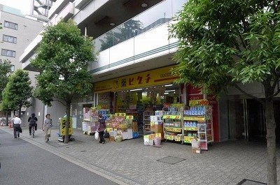 ステージグランデ文京小石川 薬ヒグチ 小石川店