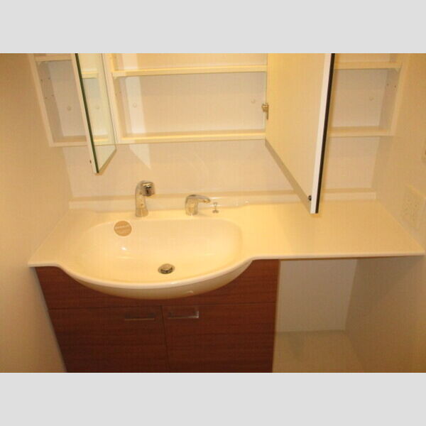 イーグレット　D105号室 洗髪洗面化粧台