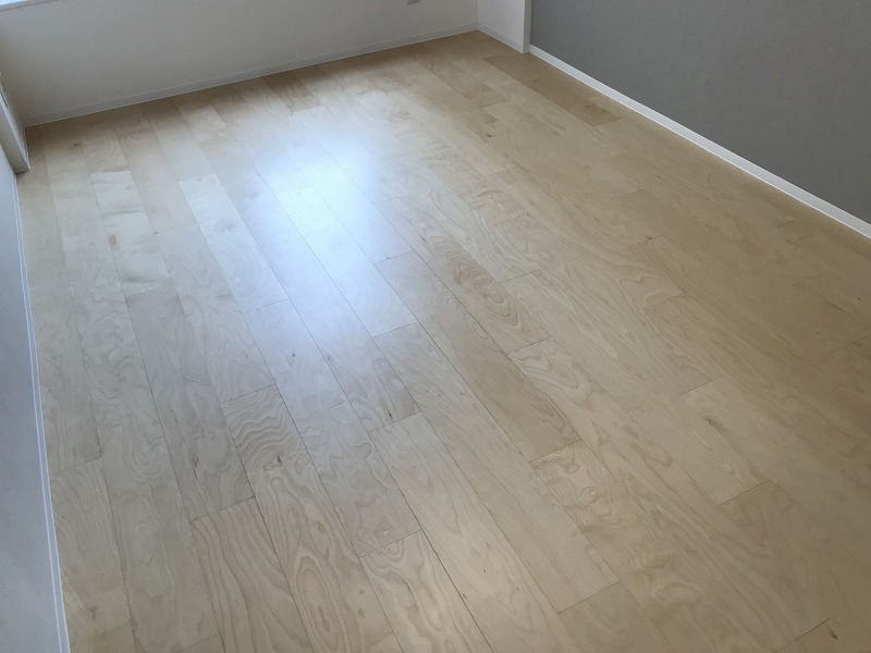 SYNEX NISHI-OI302号室 内観