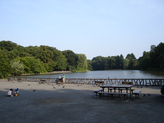 グリーンステージ 善福寺公園まで160ｍ