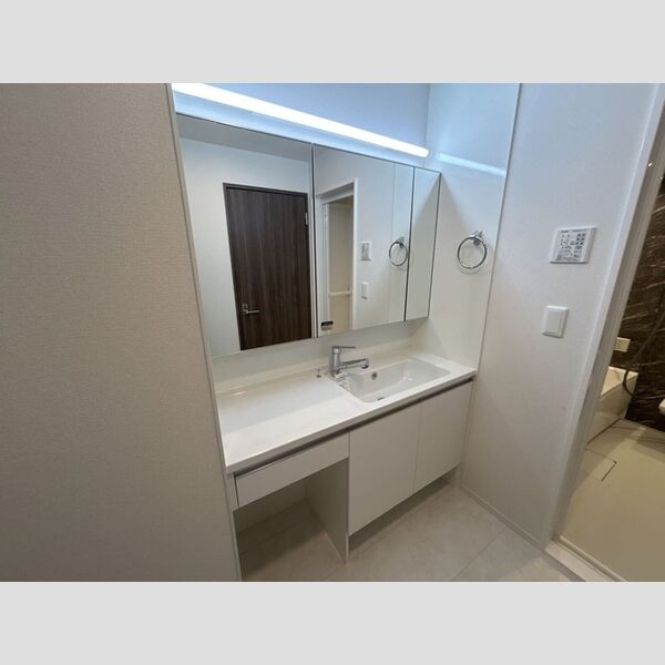 グラナーデ鹿浜305号室 洗面