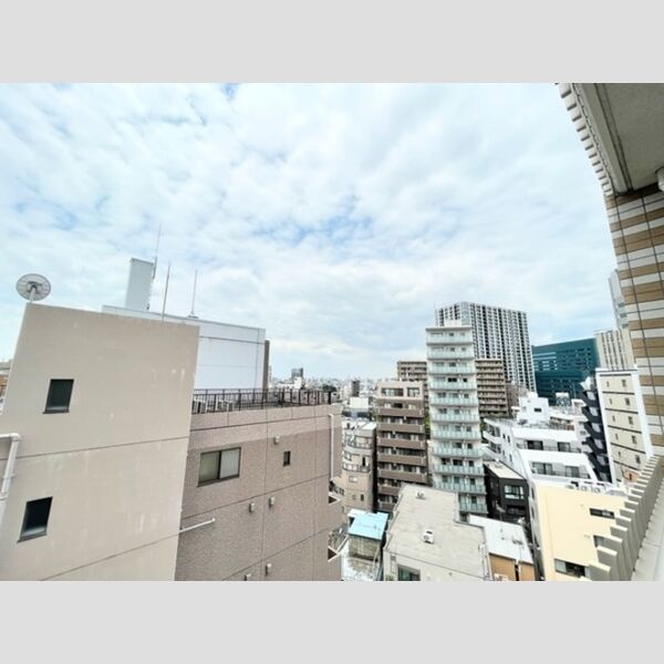 カスタリア大井町1001号室 眺望