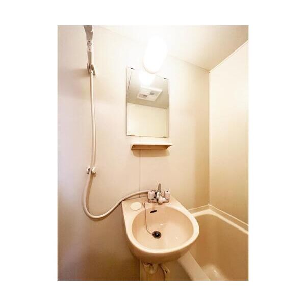 エステートピア遊202号室 洗面