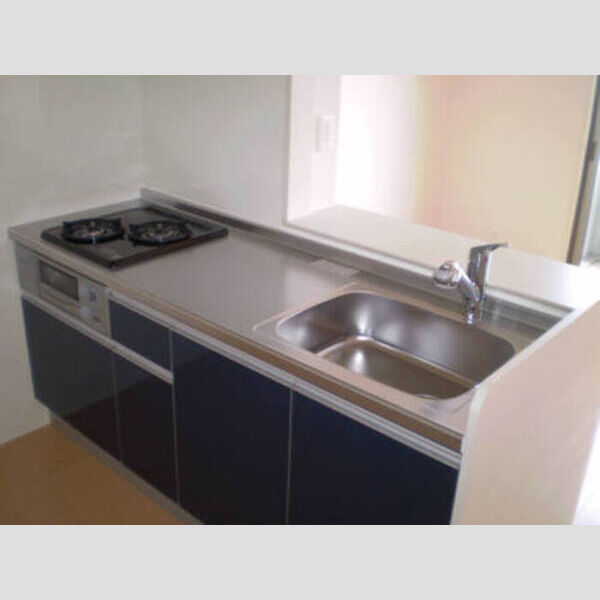 プレジール田無202号室 202 キッチン