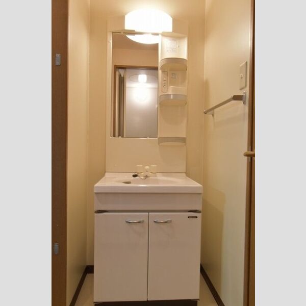 リビングタウン厚木301号室 洗面台