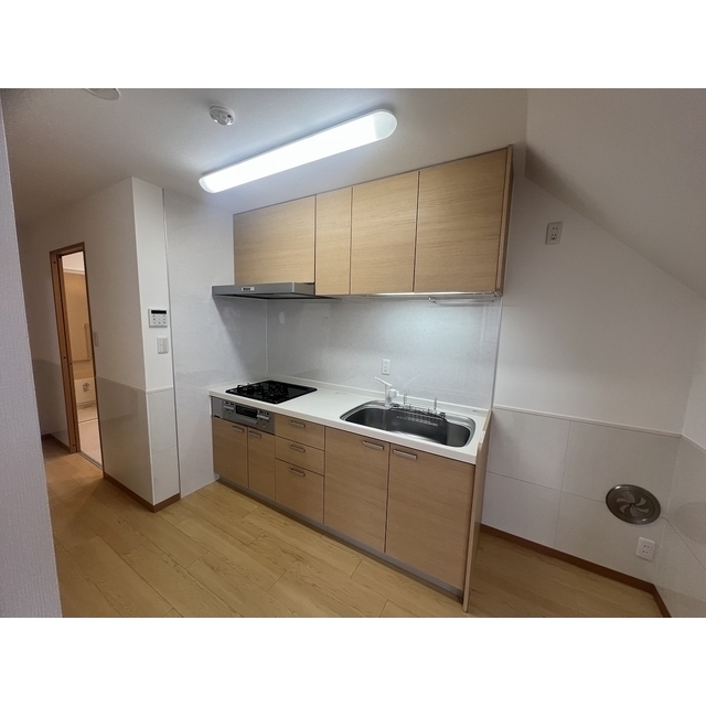 扇１丁目戸建 3口システムキッチン