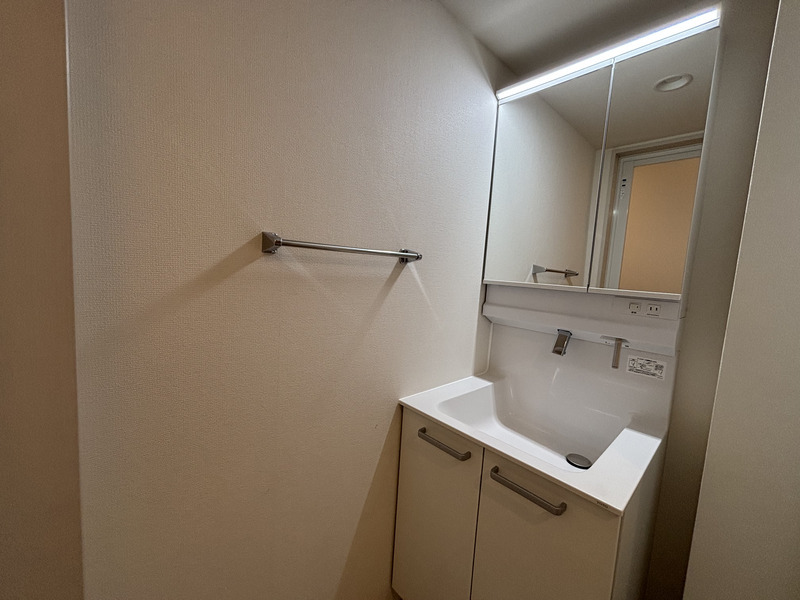 リブリ・Grande Ⅶ1階 洗面