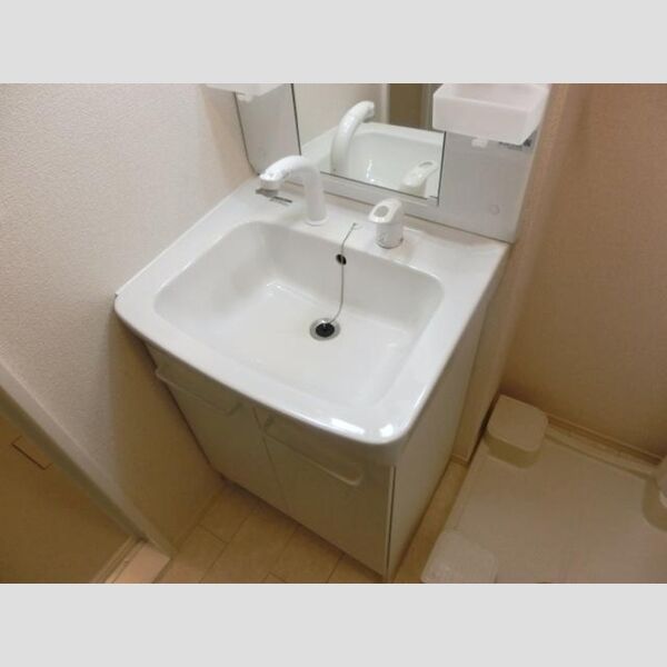 フリージア ヒルズ205号室 洗髪洗面化粧台