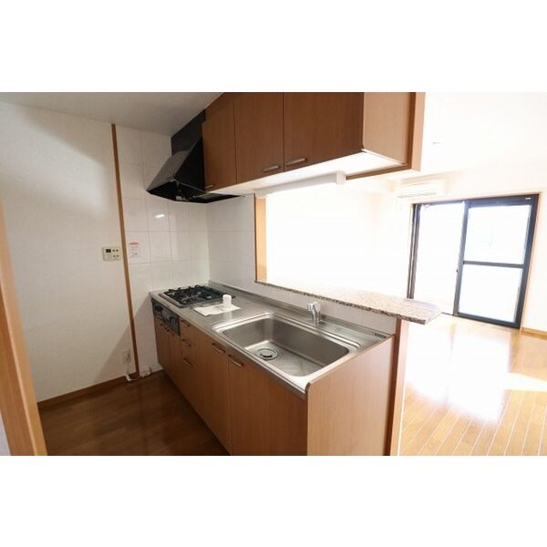 フレグランス203号室 対面システムキッチン