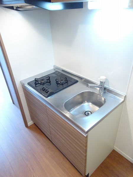 ラフィスタ宮崎台502号室 キッチン