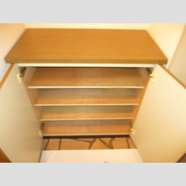 ラフィネ西都賀402号室 シューズボックス