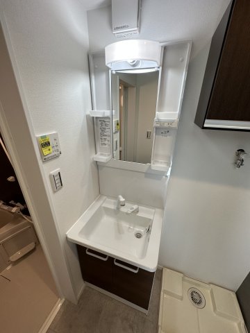 ベイルーム海老名104号室 洗面