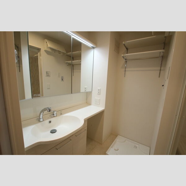 アヴァンス東日暮里302号室 洗面所