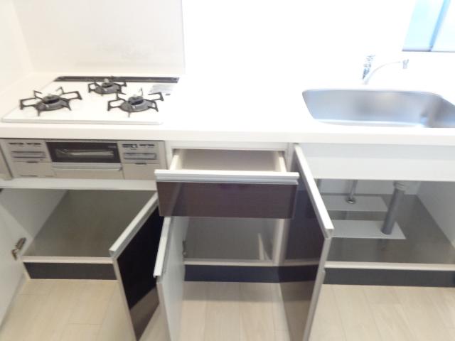 ブラン　メゾン201号室 システムキッチン