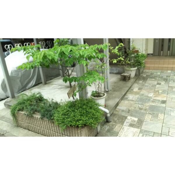 Dear　Court　田園調布南301号室 部屋その他