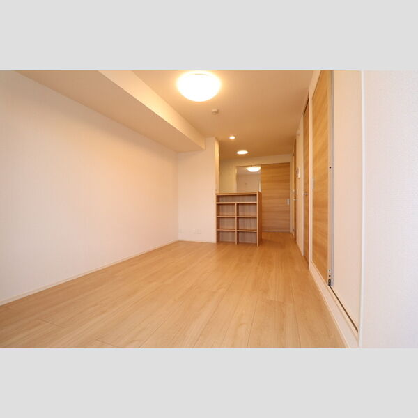 ア　レーズ203号室 LDK