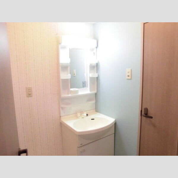 プリシェール大森 洗面所