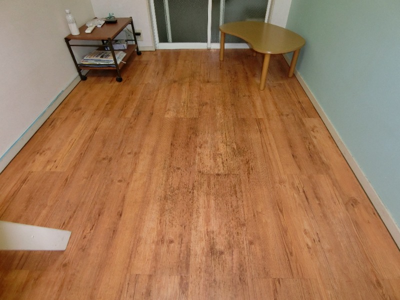 トータス西船Ｂ棟 ロフロ付きの１K