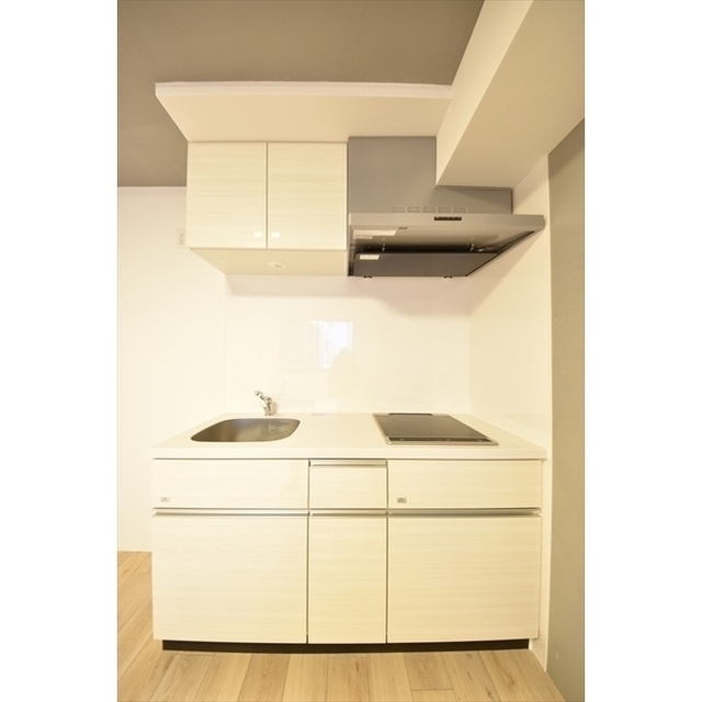 CASA PIAZZA 西日暮里0402号室 内観