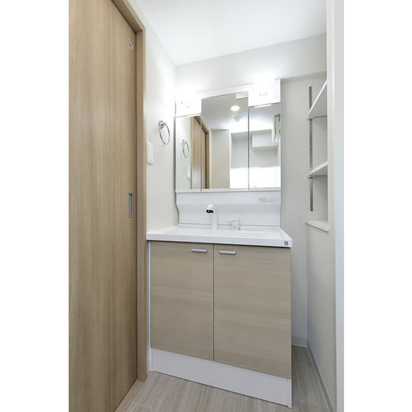 クリオ　ラモード学芸大学Ⅱ0301号室 洗面