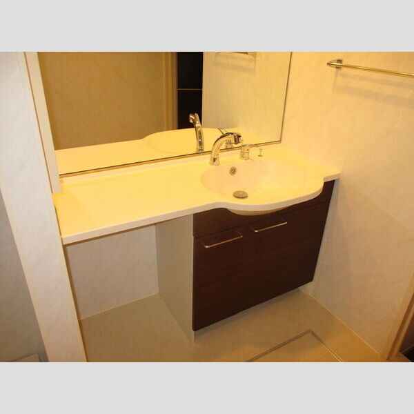 ラテル・コート若松町 202(洗髪洗面化粧台)