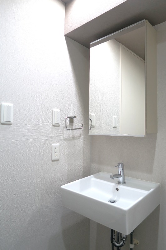 ハイリーフ上野11階 洗面