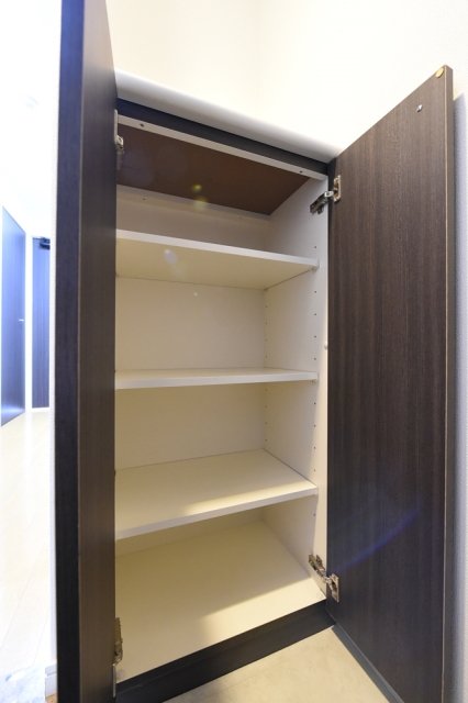 レガリアタワーレジデンス 靴入