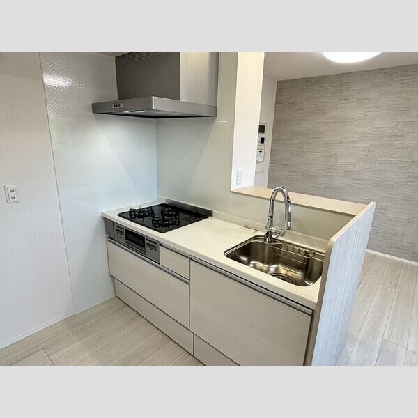 D Paina Hino201号室 システムキッチン