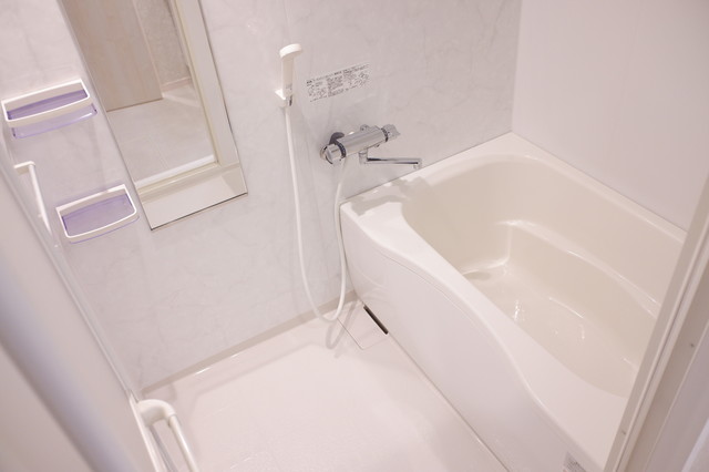 Ｌｅｓ　Ｍｅｒｖｅｉｌｌｅｕｓｅｓ202号室 お風呂