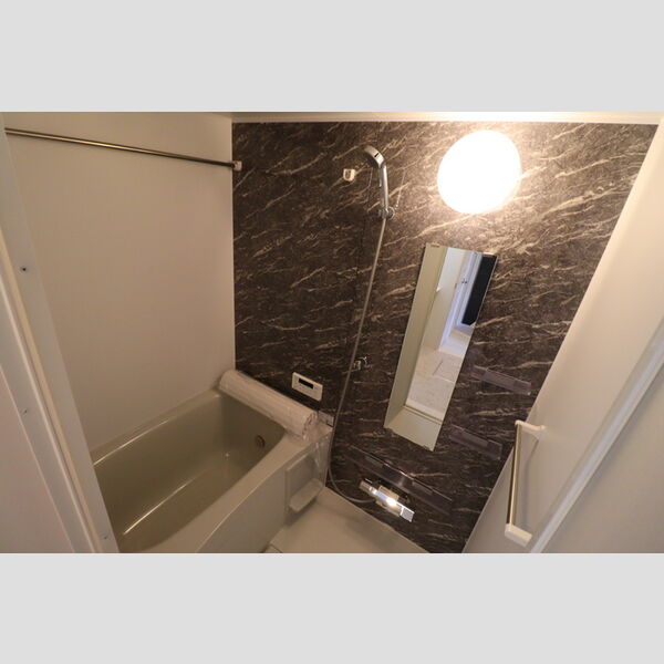 D Paina 宿河原7205号室 システムバス