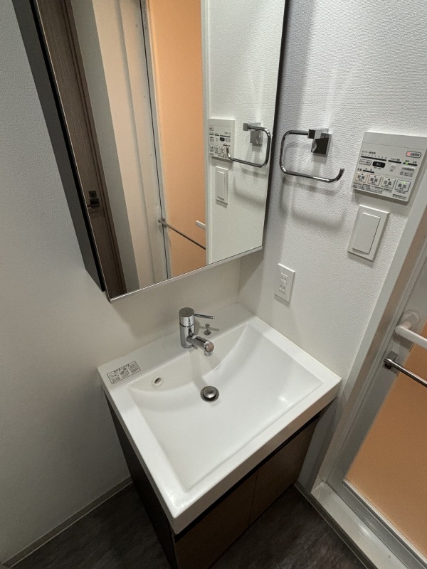 ジェノヴィア川崎Ⅲ 洗面