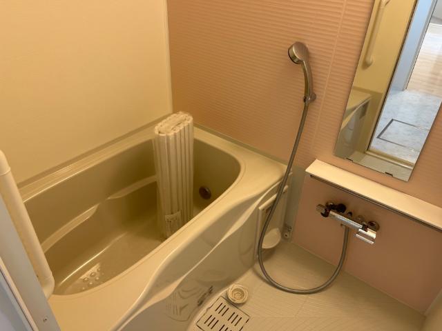 Ｂｒｉｌｌａｎｔ　（ブリリアン） バス