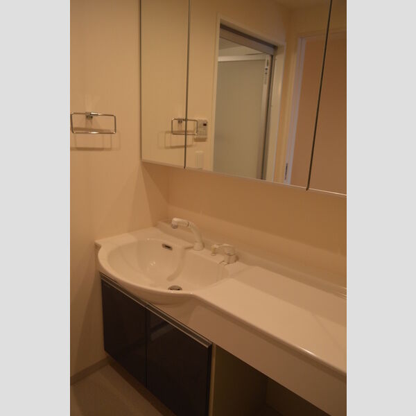 Callisto503号室 洗面
