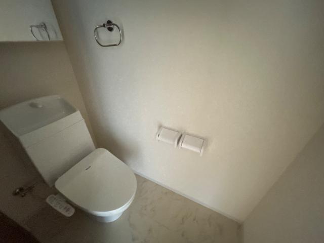 キャメロット八王子203号室 トイレ