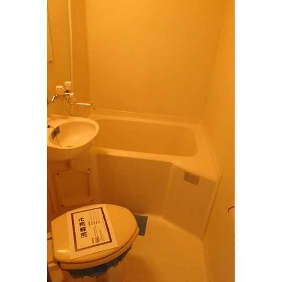 ロイヤルメドウ206号室 トイレ