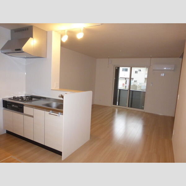 匠乃館　D101号室 システムキッチン・LDK