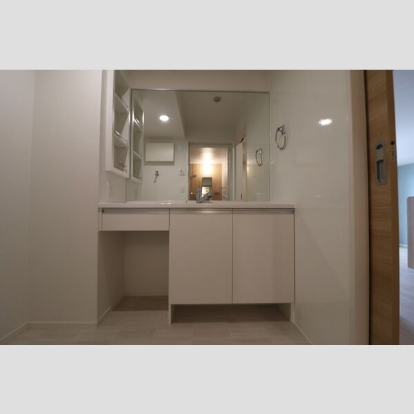 ノーブル浦和美園202号室 洗髪洗面化粧台