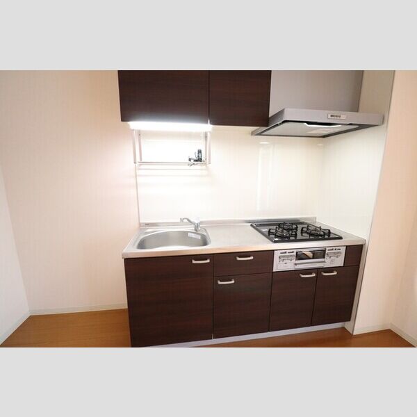 アレグリア柏屋 システムキッチン