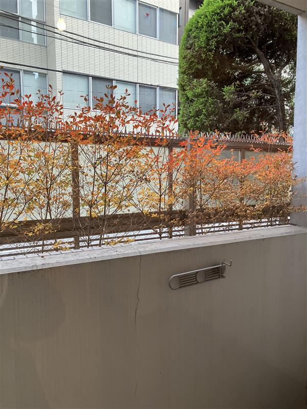 プラウドフラット神楽坂102号室 展望