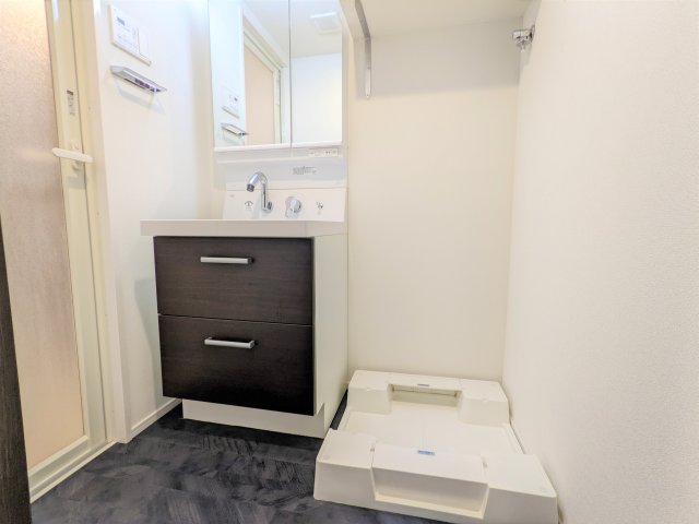 ハーモニーレジデンス板橋シティサイト303号室 洗面