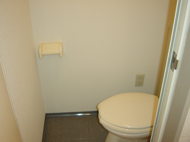 ドミールシャルマン トイレ